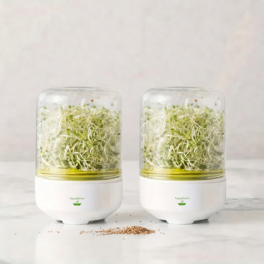 AquaGrow Sprout Duo — Dwa Słoiki, Dwa Razy Więcej Kiełków